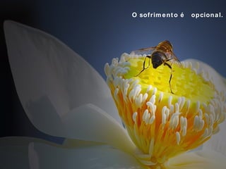 O sofrimento é  opcional. 