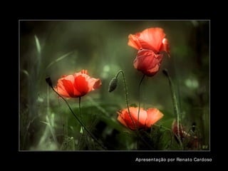 Apresentação por Renato Cardoso 