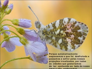 Porque automaticamente esquecemos o que foi desfrutado e passamos a sofrer pelas nossas  projeções irrealizadas, por todas as cidades que gostaríamos de ter conhecido ao lado do nosso amor e não conhecemos, ... 