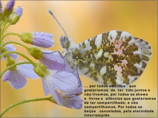 ... por todos os filhos  que gostaríamos de ter tido juntos e não tivemos, por todos os shows  e livros e silêncios que gostaríamos de ter compartilhado, e não compartilhamos. Por todos os  beijos  cancelados, pela eternidade interrompida. 