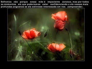 Sofremos  não  porque  nossa  mãe é  impaciente  conosco, mas por todos os momentos  em que poderíamos  estar  confidenciando a ela nossas mais profundas angústias se ela estivesse interessada em nos  compreender. 