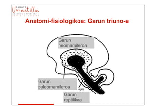 Anatomi-fisiologikoa: Garun triuno-a


            Garun
            neomamiferoa




    Garun
    paleomamiferoa
               Garun
               reptilikoa
 
