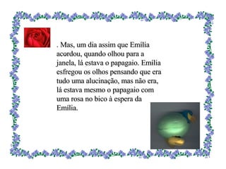 . .  Mas, um dia assim que Emília acordou, quando olhou para a janela, lá estava o papagaio. Emília esfregou os olhos pensando que era tudo uma alucinação, mas não era, lá estava mesmo o papagaio com uma rosa no bico à espera da Emília. 