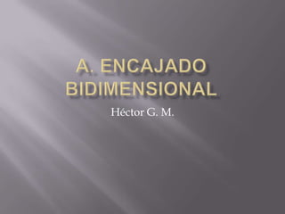 Héctor G. M.
 