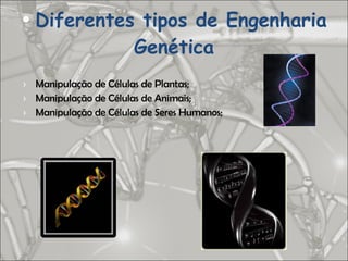 Diferentes tipos de Engenharia Genética Manipulação de Células de Plantas; Manipulação de Células de Animais; Manipulação de Células de Seres Humanos; 