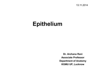 Epithelium
Dr. Archana Rani
Associate Professor
Department of Anatomy
KGMU UP, Lucknow
13.11.2014
 
