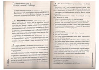 A escada-nutricional-parte 1