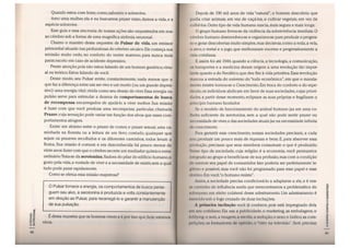 A escada-nutricional-parte 1