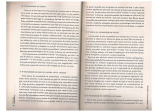 A escada-nutricional-parte 1