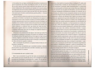 A escada-nutricional-parte 1