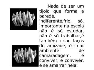 Nada de ser um tijolo que forma a parede, indiferente,frio, só. Importante na escola não é só estudar, não é só trabalhar,é também criar laços de amizade, é criar ambiente de camaradagem, é conviver, é conviver, é se amarrar nela.  