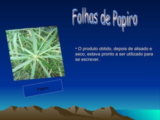 O produto obtido, depois de alisado e seco, estava pronto a ser utilizado para se escrever.  Folhas de Papiro  Papiro 
