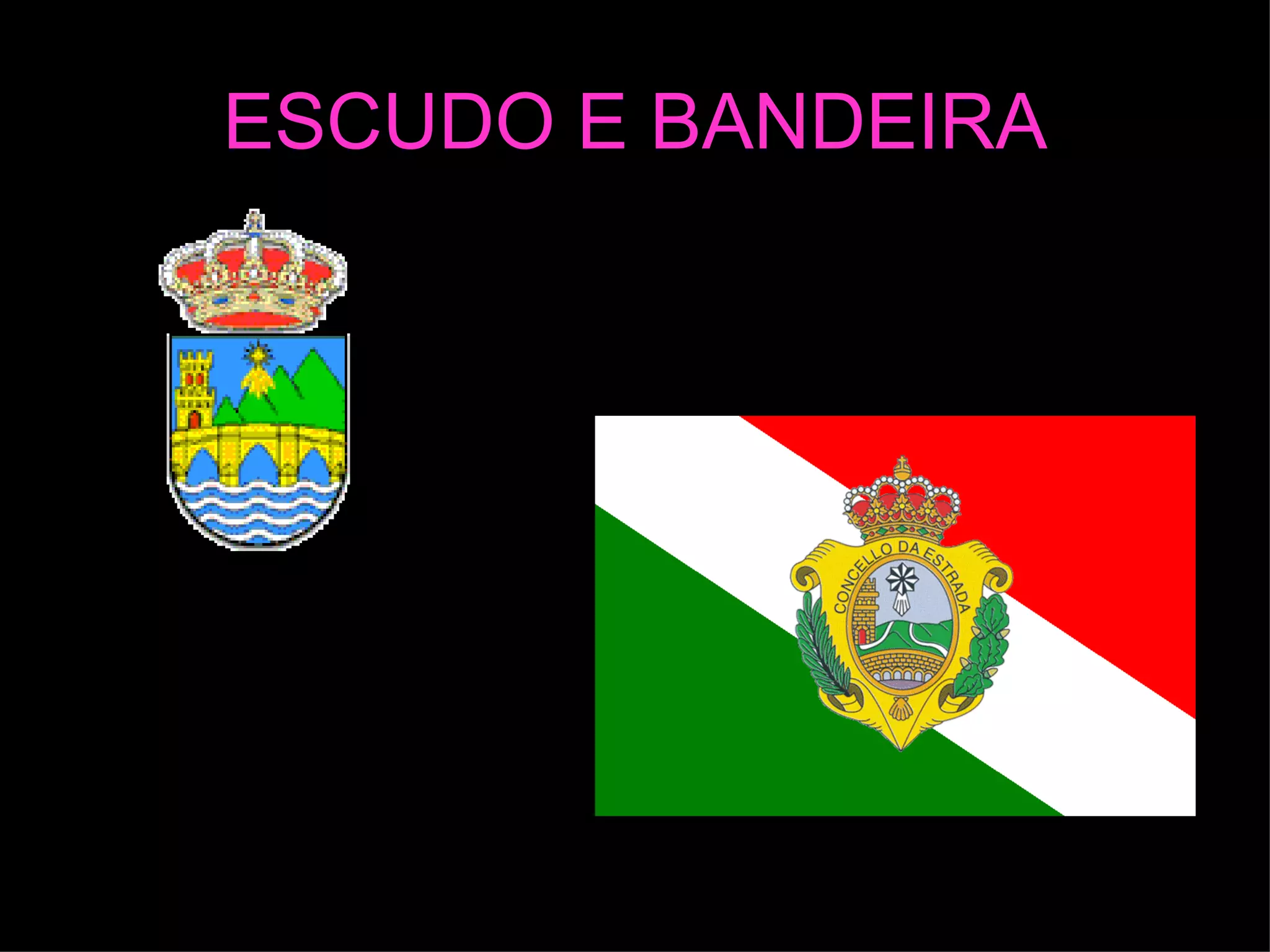 ESCUDO E BANDEIRA 