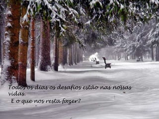 Todos os dias os desafios estão nas nossas vidas. E o que nos resta fazer? 