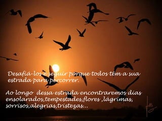 Ao longo  dessa estrada encontraremos dias ensolarados,tempestades,flores ,lágrimas, sorrisos,alegrias,tristezas... Desafiá-los e seguir porque todos têm a sua  estrada para percorrer. 