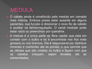  O cabelo ainda é constituído pela medula em camada
mais interna. Embora possa estar ausente em alguns
pacientes, sua função é direcionar o novo fio de cabelo
e auxiliar na termorregulação. O canal medular pode
estar vazio ou preenchido por queratina.
 A medula é a única parte da fibra capilar que está em
contato com o bulbo e só é encontrada nos fios mais
grossos ou nos brancos. Ela é responsável por distribuir
minerais e nutrientes até as pontas; o que permite que
as células que são criadas no bulbo e fazem com que
os cabelos cresçam, sejam levadas até as
extremidades.
 