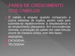  O cabelo é singular quando comparado a
outros sistemas de órgãos, porém cada pelo
submete-se repetitivamente à obsolescência e
ao renascimento planejados. Em circunstâncias
normais, a produção do cabelo em cada folículo
ocorre de maneira cíclica, com três fases:
 ANÁGENA;
 CATÁGENA;
 TELÓGENA.
 
