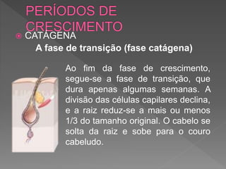  CATÁGENA
A fase de transição (fase catágena)
Ao fim da fase de crescimento,
segue-se a fase de transição, que
dura apenas algumas semanas. A
divisão das células capilares declina,
e a raiz reduz-se a mais ou menos
1/3 do tamanho original. O cabelo se
solta da raiz e sobe para o couro
cabeludo.
 
