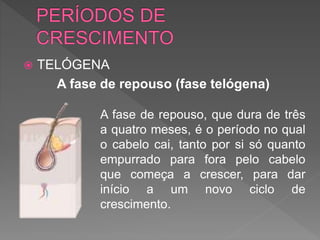  TELÓGENA
A fase de repouso (fase telógena)
A fase de repouso, que dura de três
a quatro meses, é o período no qual
o cabelo cai, tanto por si só quanto
empurrado para fora pelo cabelo
que começa a crescer, para dar
início a um novo ciclo de
crescimento.
 
