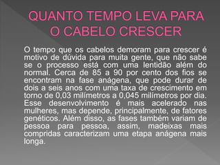 O tempo que os cabelos demoram para crescer é
motivo de dúvida para muita gente, que não sabe
se o processo está com uma lentidão além do
normal. Cerca de 85 a 90 por cento dos fios se
encontram na fase anágena, que pode durar de
dois a seis anos com uma taxa de crescimento em
torno de 0,03 milímetros a 0,045 milímetros por dia.
Esse desenvolvimento é mais acelerado nas
mulheres, mas depende, principalmente, de fatores
genéticos. Além disso, as fases também variam de
pessoa para pessoa, assim, madeixas mais
compridas caracterizam uma etapa anágena mais
longa.
 
