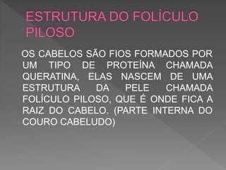 OS CABELOS SÃO FIOS FORMADOS POR
UM TIPO DE PROTEÍNA CHAMADA
QUERATINA, ELAS NASCEM DE UMA
ESTRUTURA DA PELE CHAMADA
FOLÍCULO PILOSO, QUE É ONDE FICA A
RAIZ DO CABELO. (PARTE INTERNA DO
COURO CABELUDO)
 