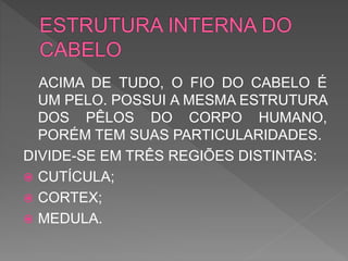 ACIMA DE TUDO, O FIO DO CABELO É
UM PELO. POSSUI A MESMA ESTRUTURA
DOS PÊLOS DO CORPO HUMANO,
PORÉM TEM SUAS PARTICULARIDADES.
DIVIDE-SE EM TRÊS REGIÕES DISTINTAS:
 CUTÍCULA;
 CORTEX;
 MEDULA.
 