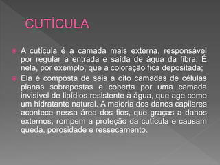  A cutícula é a camada mais externa, responsável
por regular a entrada e saída de água da fibra. É
nela, por exemplo, que a coloração fica depositada;
 Ela é composta de seis a oito camadas de células
planas sobrepostas e coberta por uma camada
invisível de lipídios resistente à água, que age como
um hidratante natural. A maioria dos danos capilares
acontece nessa área dos fios, que graças a danos
externos, rompem a proteção da cutícula e causam
queda, porosidade e ressecamento.
 