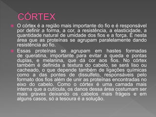  O córtex é a região mais importante do fio e é responsável
por definir a forma, a cor, a resistência, a elasticidade, a
quantidade natural de umidade dos fios e a força. É nesta
área que as proteínas se agrupam paralelamente dando
resistência ao fio.
 Essas proteínas se agrupam em hastes formadas
de queratina, importante para evitar a queda e pontas
duplas, e melanina, que dá cor aos fios. No córtex
também é definida a textura do cabelo, se será liso ou
cacheado, o que depende também de ligações químicas
como a das pontes de dissulfeto, responsáveis pelo
formato dos fios além de unir as proteínas encontradas no
eixo do cabelo. Como o córtex é uma camada mais
interna que a cutícula, os danos dessa área costumam ser
mais graves deixando os cabelos mais frágeis e em
alguns casos, só a tesoura é a solução.
 