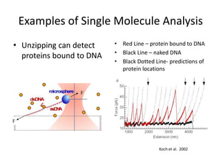 Examples of Single Molecule Analysis<br />Red Line – protein bound to DNA<br />Black Line – naked DNA<br />Black Dotted Li...