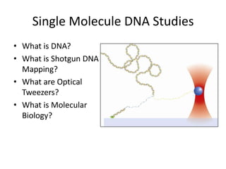 Single Molecule DNA Studies<br />What is DNA?<br />What is Shotgun DNA Mapping?<br />What are Optical Tweezers?<br />What ...