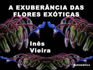 A EXUBERÂNCIA DAS FLORES EXÓTICAS Inês Vieira Automático 