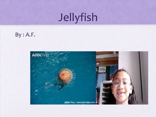 Jellyfish  By : A.F. 