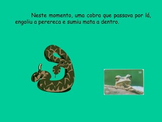 Neste momento, uma cobra que passava por lá, engoliu a perereca e sumiu mata a dentro.  