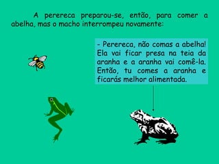 A perereca preparou-se, então, para comer a abelha, mas o macho interrompeu novamente: - Perereca, não comas a abelha! Ela vai ficar presa na teia da aranha e a aranha vai comê-la. Então, tu comes a aranha e ficarás melhor alimentada.  