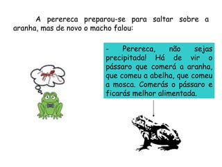 A perereca preparou-se para saltar sobre a aranha, mas de novo o macho falou:  - Perereca, não sejas precipitada! Há de vir o pássaro que comerá a aranha, que comeu a abelha, que comeu a mosca. Comerás o pássaro e ficarás melhor alimentada.  
