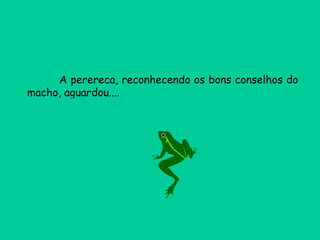 A perereca, reconhecendo os bons conselhos do macho, aguardou.... 