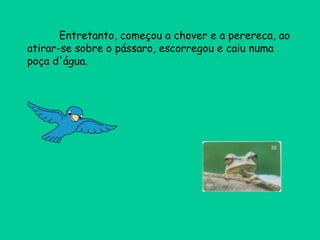 Entretanto, começou a chover e a perereca, ao atirar-se sobre o pássaro, escorregou e caiu numa poça d'água. 