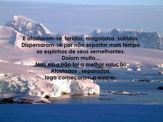 E afastaram-se, feridos, magoados, sofridos.  Dispersaram-se por não suportar mais tempo  os espinhos de seus semelhantes.  Doíam muito...  Mas essa não foi a melhor solução. Afastados , separados,  logo começaram a morrer.   