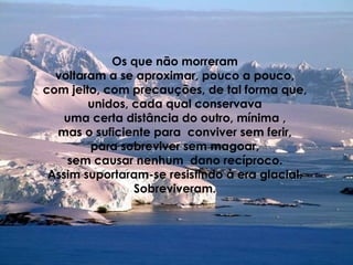 Os que não morreram  voltaram a se aproximar, pouco a pouco,  com jeito, com precauções, de tal forma que,  unidos, cada qual conservava  uma certa distância do outro, mínima ,  mas o suficiente para  conviver sem ferir,  para sobreviver sem magoar,  sem causar nenhum  dano recíproco.  Assim suportaram-se resistindo à era glacial.  Sobreviveram.   