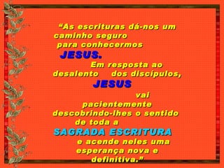 “ As escrituras dá-nos um caminho seguro  para conhecermos  JESUS.   Em resposta ao desalento  dos discípulos,  JESUS   vai pacientemente descobrindo-lhes o sentido  de toda a  SAGRADA ESCRITURA   e acende neles uma esperança nova e definitiva.” 