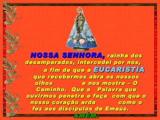 NOSSA SENHORA,  rainha dos desamparados, intercedei por nós,  a fim de que a  EUCARISTIA  que recebermos abra os nossos olhos  e nos mostre – O Caminho.  Que a  Palavra que ouvirmos penetre e faça  com que o nosso coração arda  como o fez aos discípulos de Emaús.  AMÉM. 