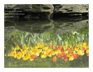 Autumn Rhapsody
Photo by Muchiu (Henry) Chang
Lac Pink, Gatineau Park, Quebec
October 9, 2011
 