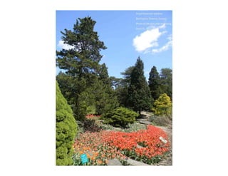 Autumn Rhapsody
Photo by Muchiu (Henry) Chang
Lac Pink, Gatineau Park, Quebec
October 9, 2011
 