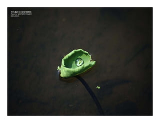 Autumn Rhapsody
Photo by Muchiu (Henry) Chang
Lac Pink, Gatineau Park, Quebec
October 9, 2011
 