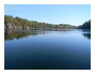 Autumn Rhapsody
Photo by Muchiu (Henry) Chang
Lac Pink, Gatineau Park, Quebec
October 9, 2011
 
