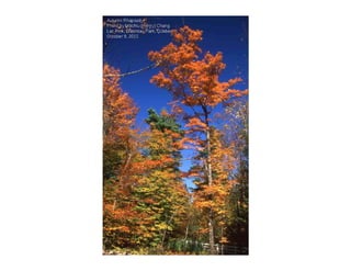 Autumn Rhapsody
Photo by Muchiu (Henry) Chang
Lac Pink, Gatineau Park, Quebec
October 9, 2011
 