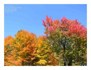 Autumn Rhapsody
Photo by Muchiu (Henry) Chang
Mackenzie King Estate
Gatineau Park, Quebec
October 9, 2011
 