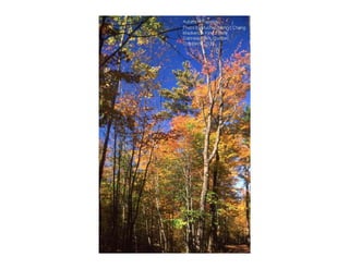 Autumn Rhapsody
Photo by Muchiu (Henry) Chang
Mackenzie King Estate
Gatineau Park, Quebec
October 9, 2011
 