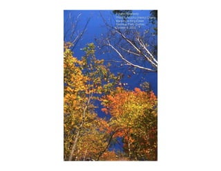 Autumn Rhapsody
Photo by Muchiu (Henry) Chang
Mackenzie King Estate
Gatineau Park, Quebec
October 9, 2011
 