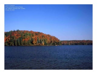 Colour of Autumn
Photo by Muchiu (Henry) Chang
Lac Philippe, Gatineau Park, Quebec
October 10, 2011
 